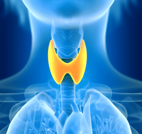 Thyroid Disease